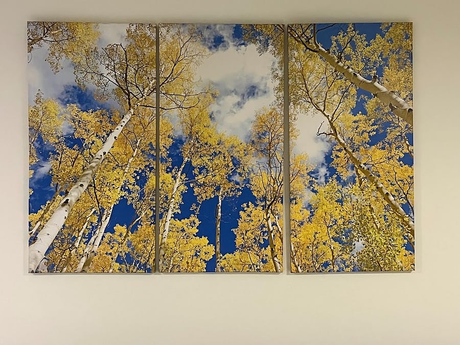 Beautiful artwork throughout the home