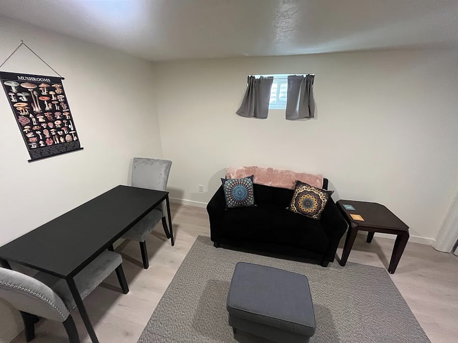 Comfortable family room