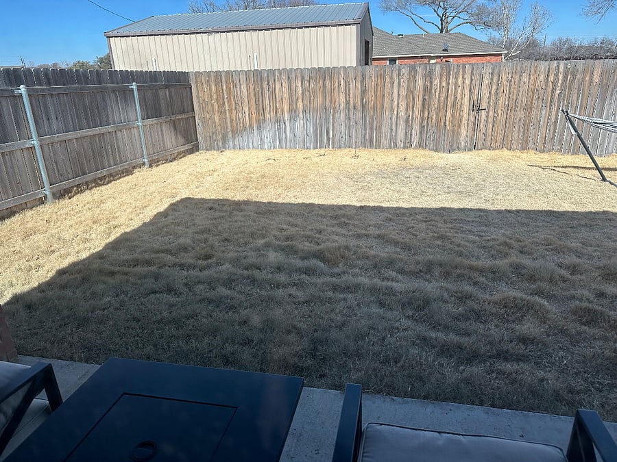 Back yard