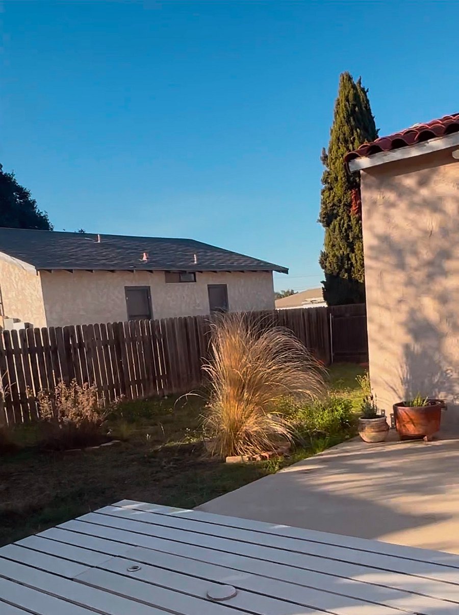 Side yard with citrus and rosemary.