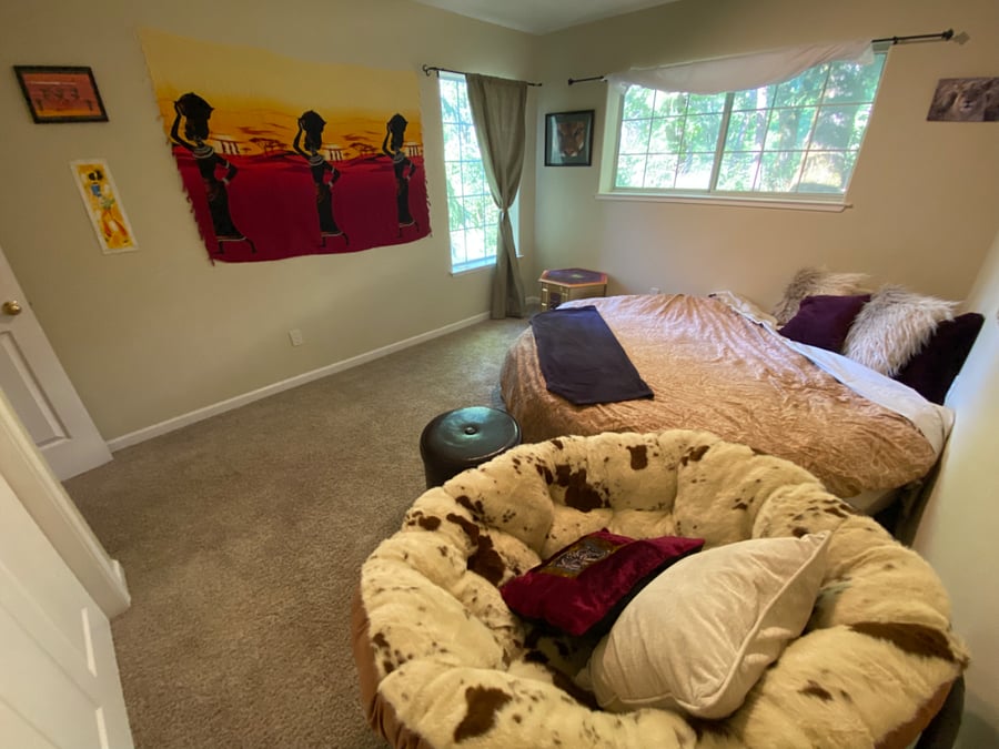 Furnished Finder property 824754_1 photo 15