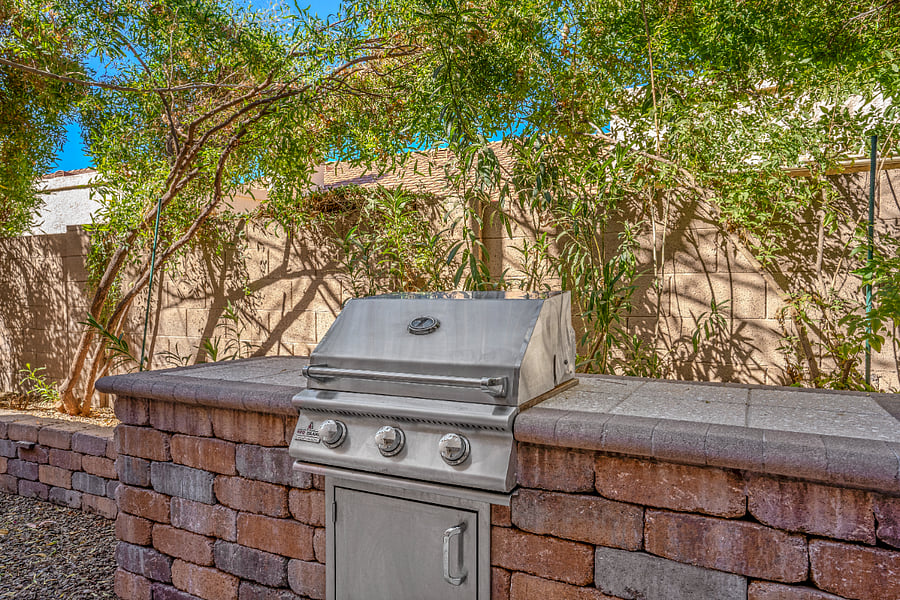Propane Grill