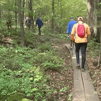 Hiking at Town Forest and biking at 1.7 miles away on the Missisquoi Valley Rail Trail.