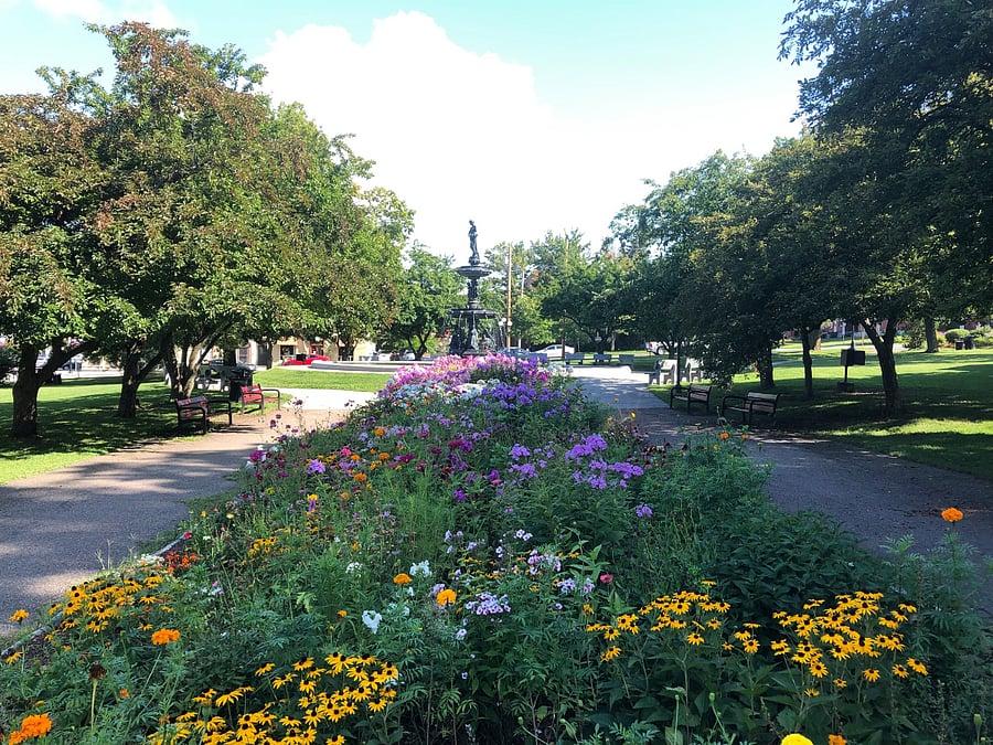 Taylor park, a quick walk from the house, great for pets and exercise