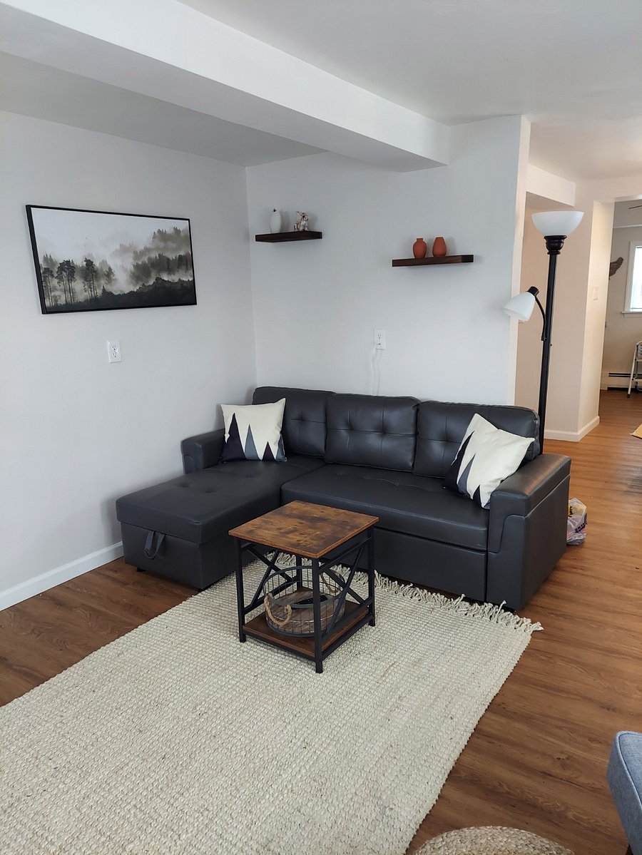 Living room couch, storage and opens for full bed use.