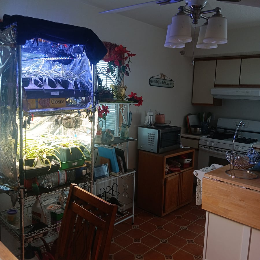 Furnished Finder property 824956_1 photo 8