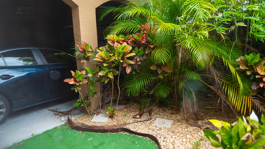 Furnished Finder property 825029_1 photo 9