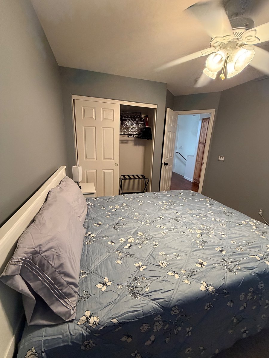 Furnished Finder property 825184_1 photo 19