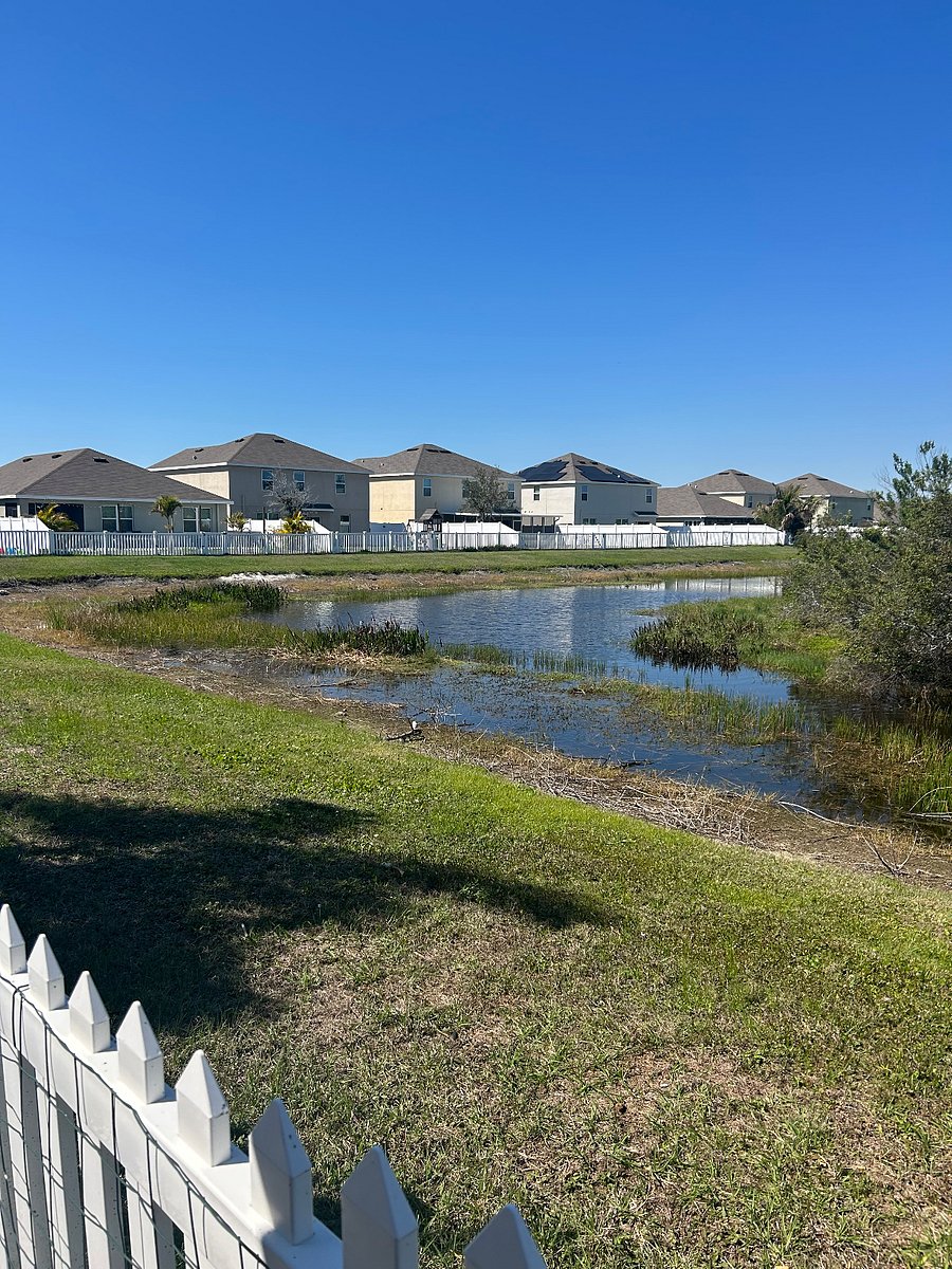 Furnished Finder property 825318_1 photo 12