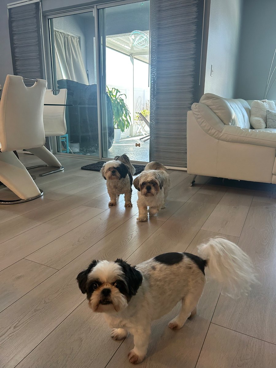 Furnished Finder property 825318_1 photo 11