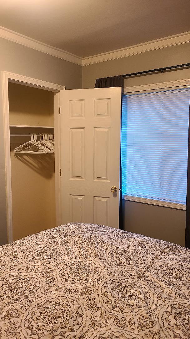 Furnished Finder property 825400_1 photo 24