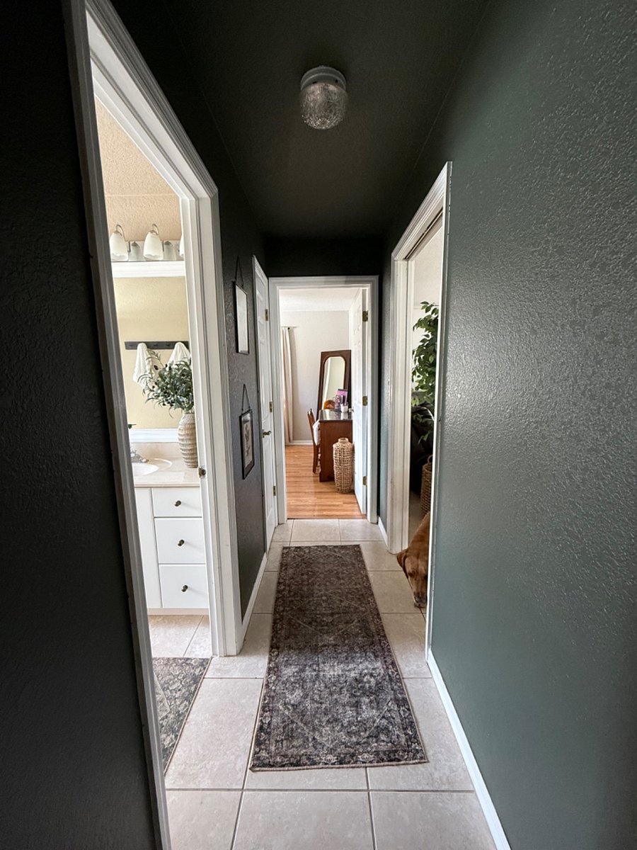 Furnished Finder property 825550_1 photo 13