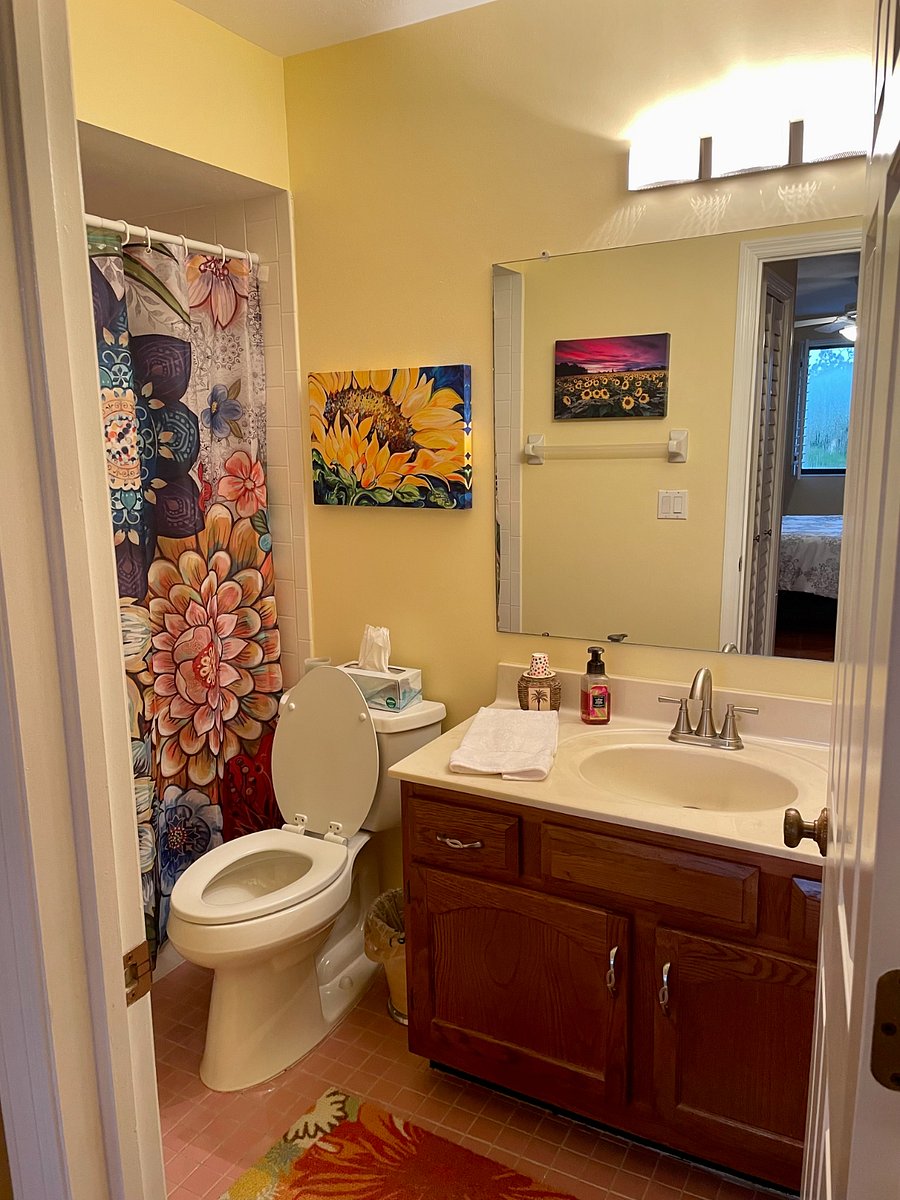 Furnished Finder property 825569_1 photo 12