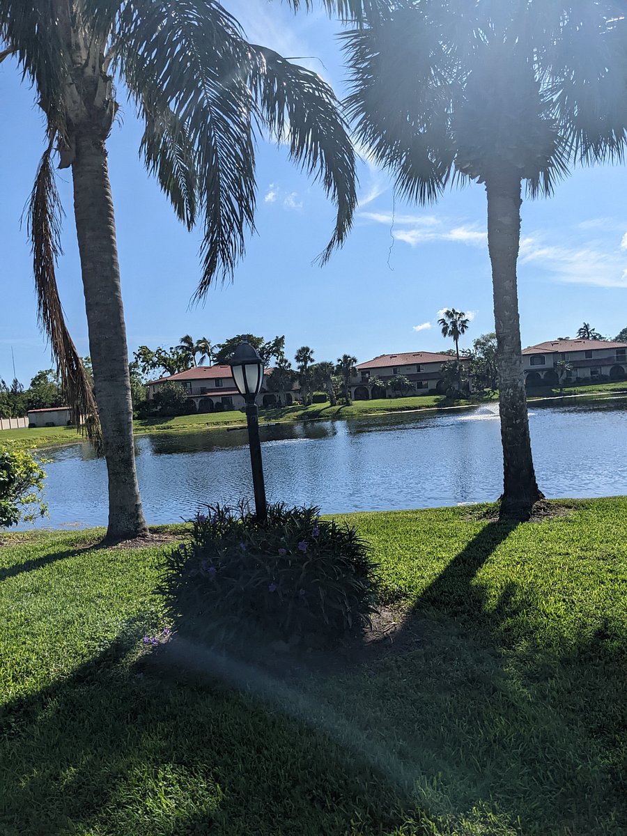 Furnished Finder property 825569_1 photo 16