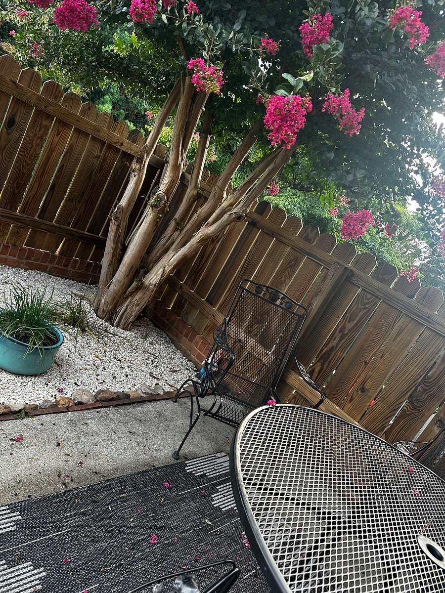 Furnished Finder property 825628_1 photo 9