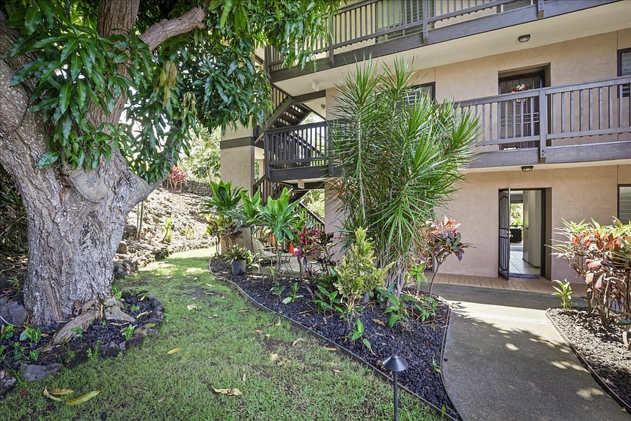 Step free entrance from street directly into unit for easy mobility, luggage, & grocery unloads. Entrance under huge mango tree!
