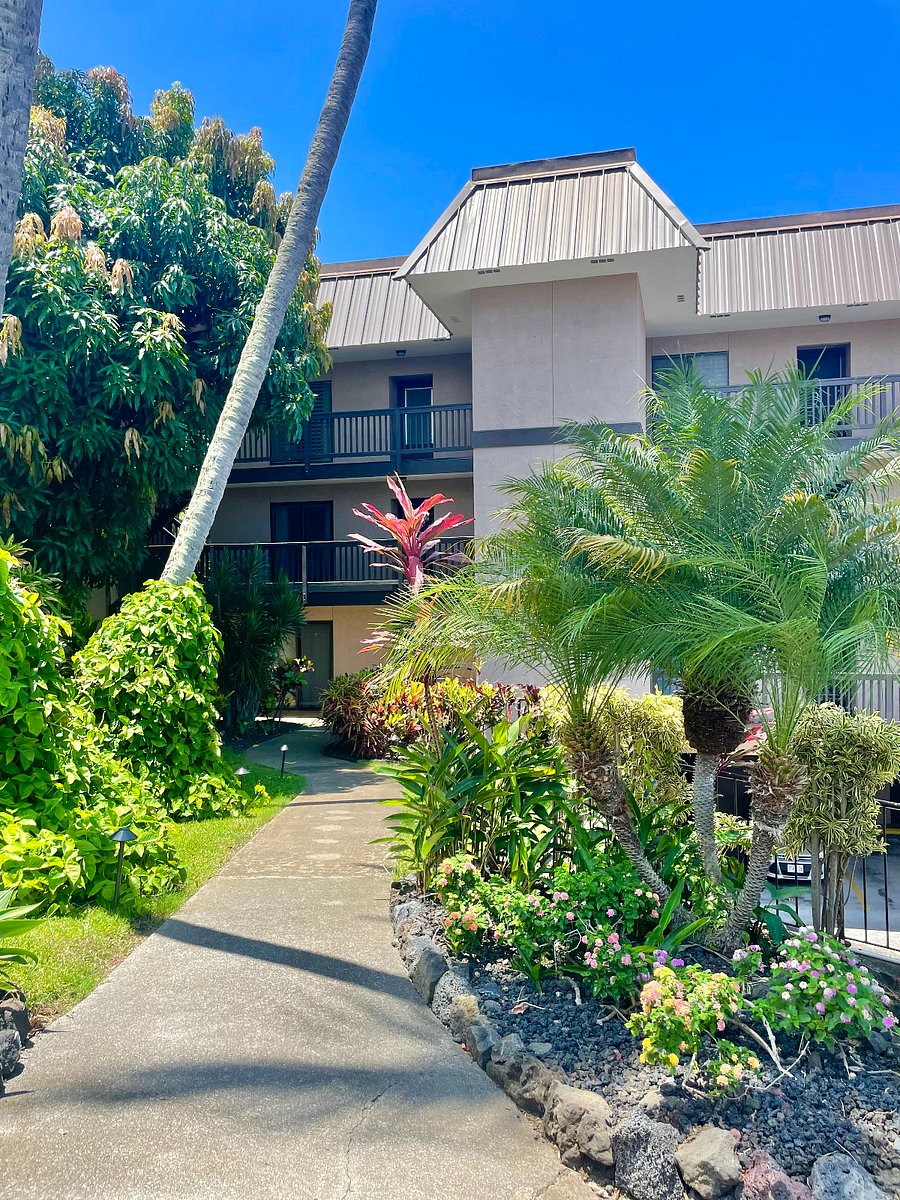 Step free entrance from street directly into unit for easy mobility, luggage, & grocery unloads. Through garden directly into unit.