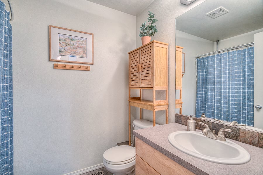 Guest bathroom