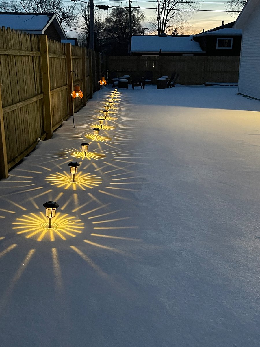 Beautiful solar lights in backyard.