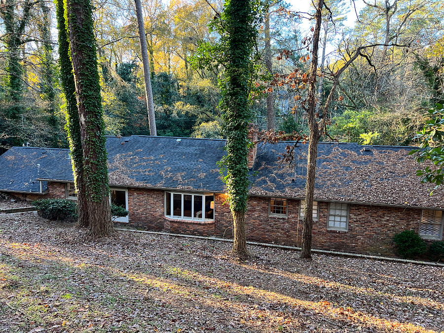 Backyard View of House