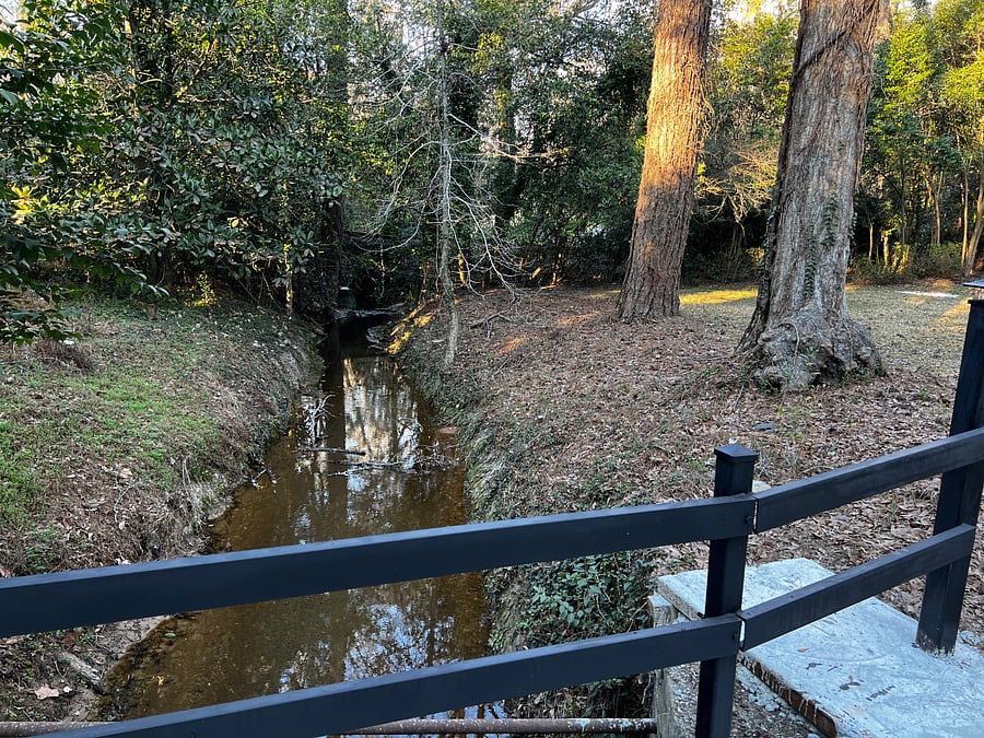 View of stream from bridge