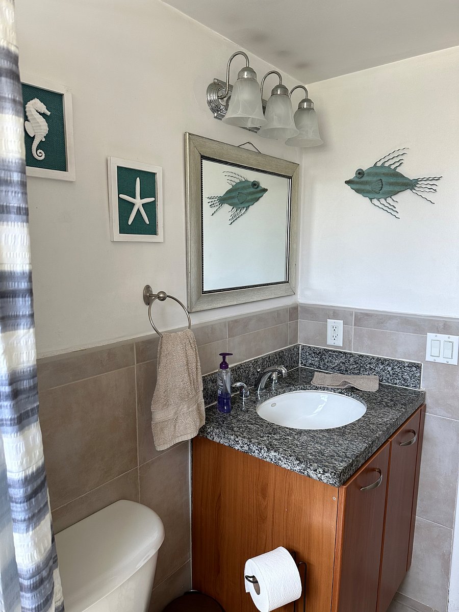Furnished Finder property 826501_1 photo 6