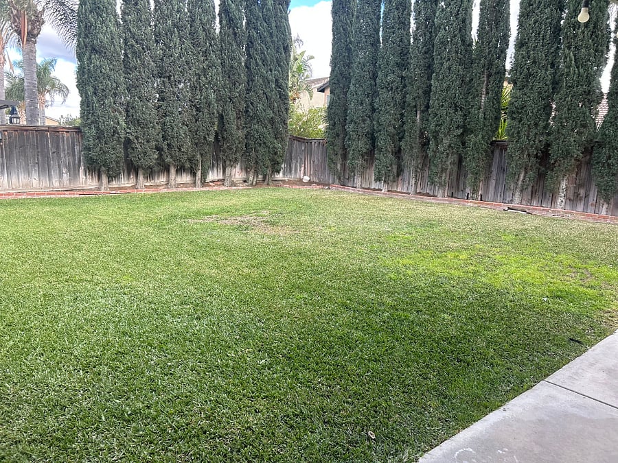 Furnished Finder property 826754_1 photo 16