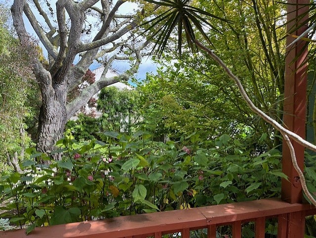 Furnished Finder property 826804_1 photo 13