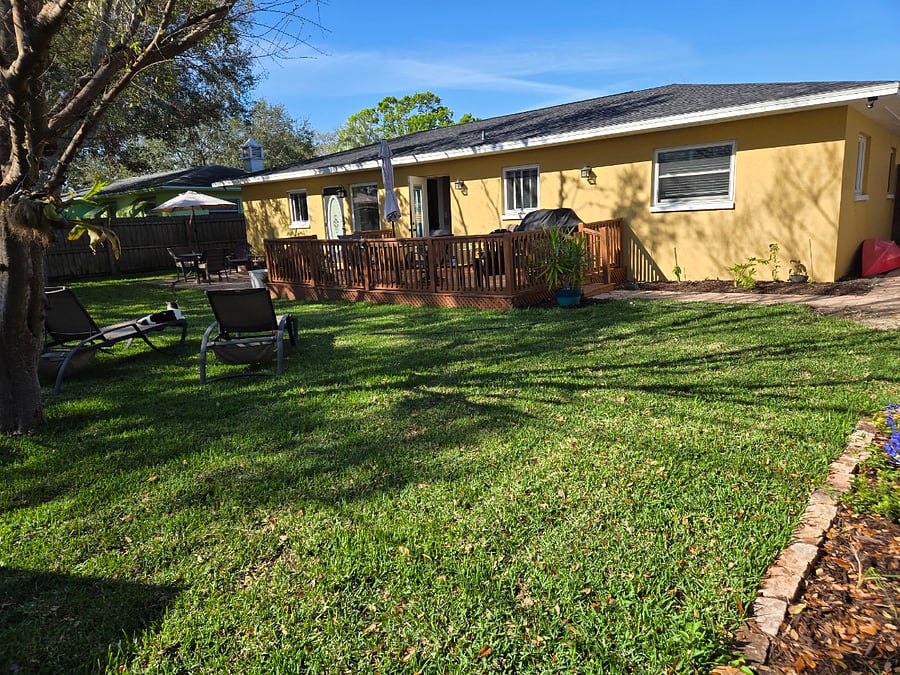 Backyard