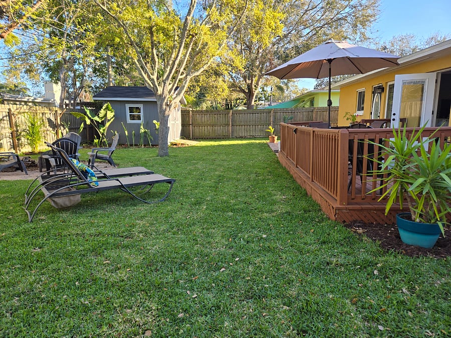 Back yard