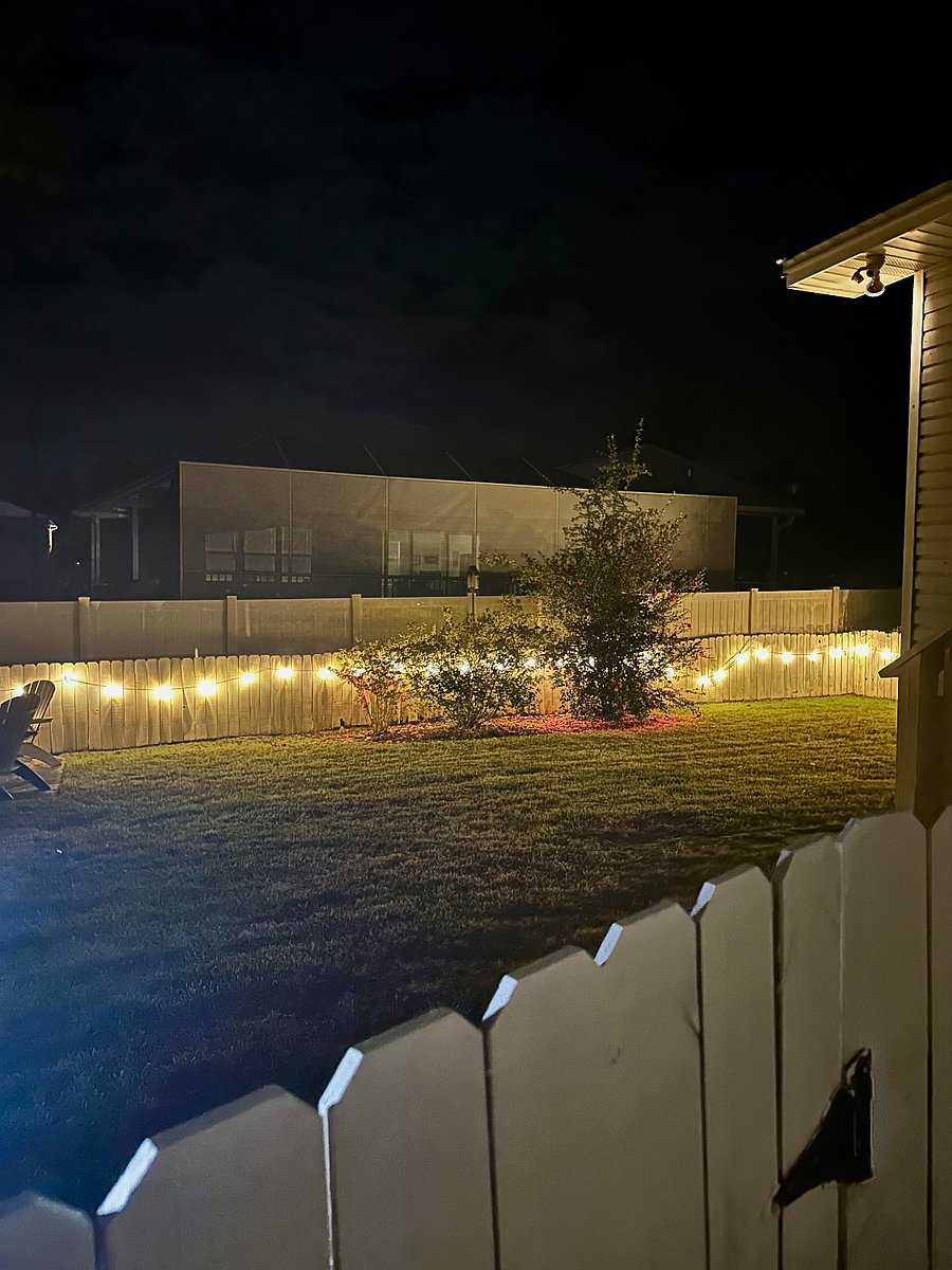 Cafe lighting in backyard