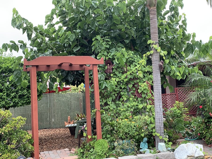Furnished Finder property 827095_1 photo 18