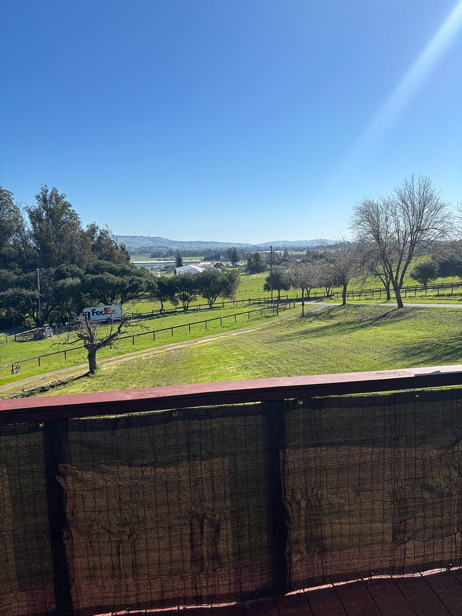 Furnished Finder property 827306_1 photo 15