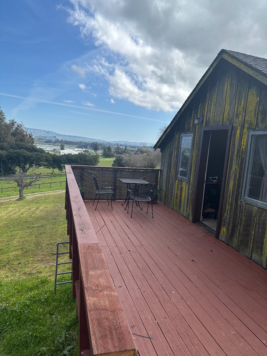 Furnished Finder property 827306_1 photo 14