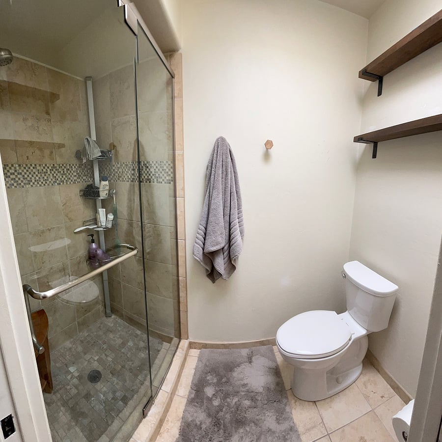 Main bath walk-in shower