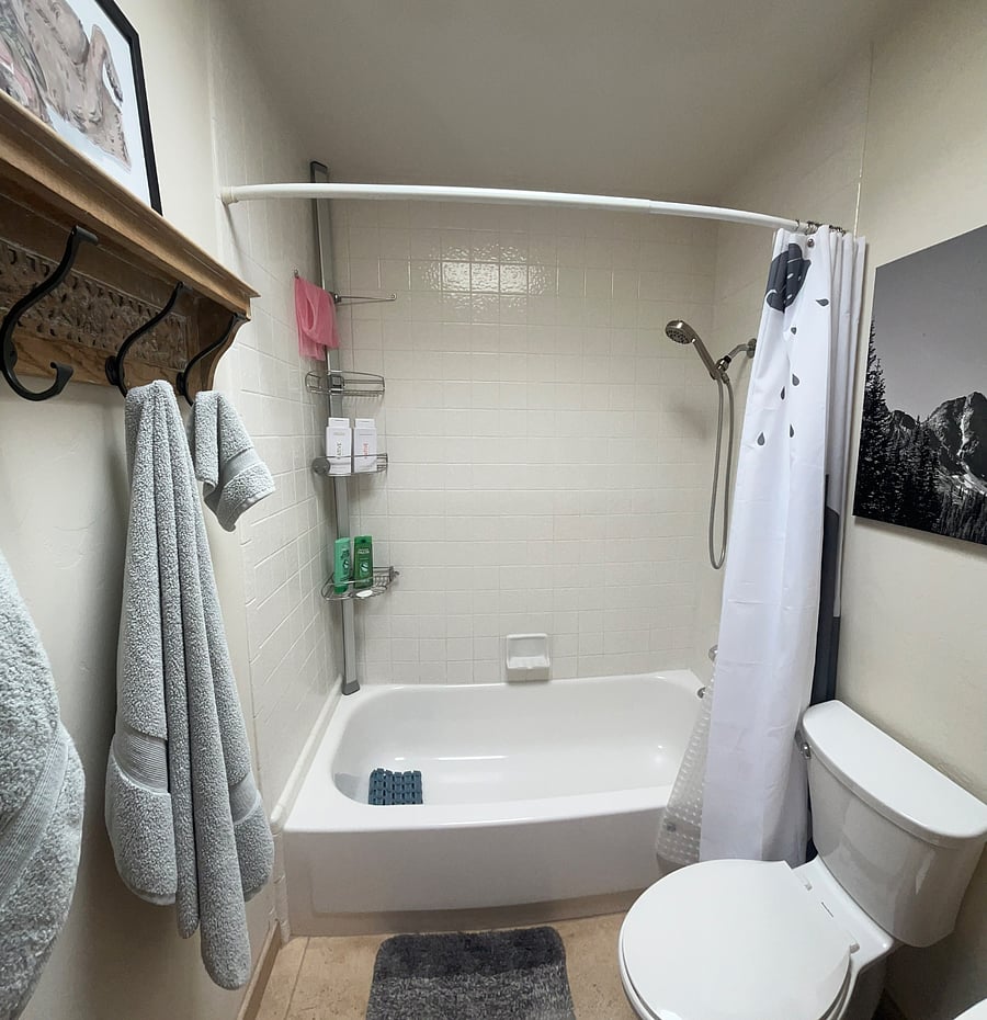 Guest bathroom