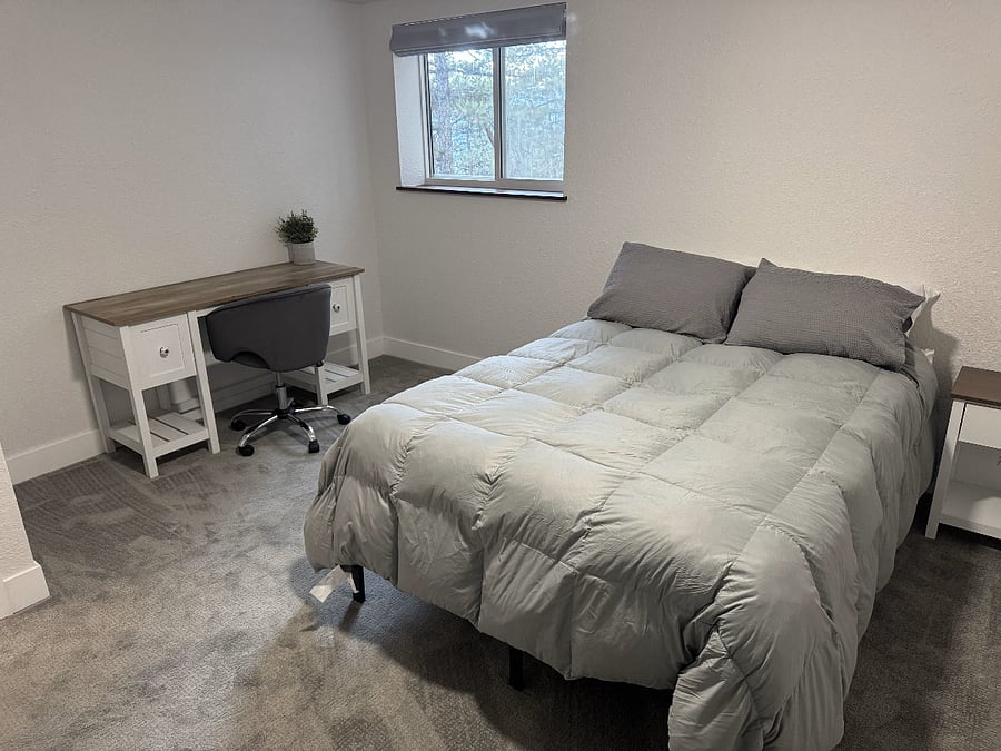 Lower Level Bedroom 2