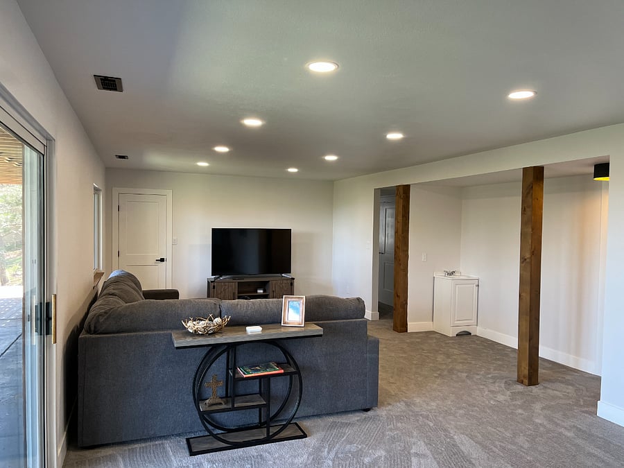 Lower Level Family Room