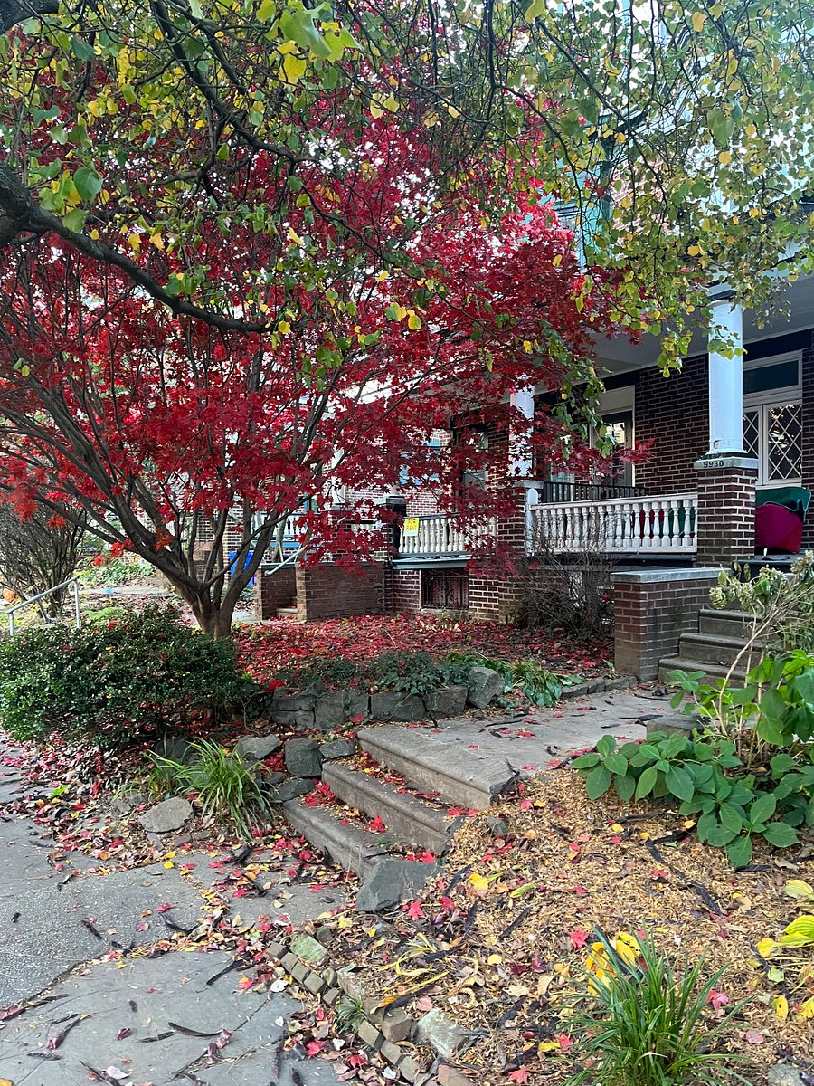 Furnished Finder property 827449_1 photo 4