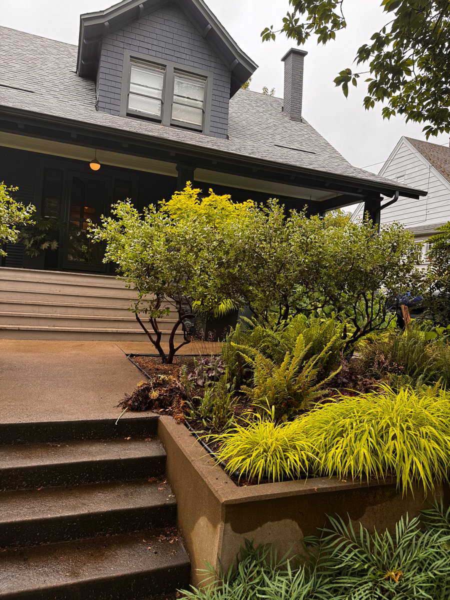 Front of the house with huge front porch and porch swing
vibrant green colors