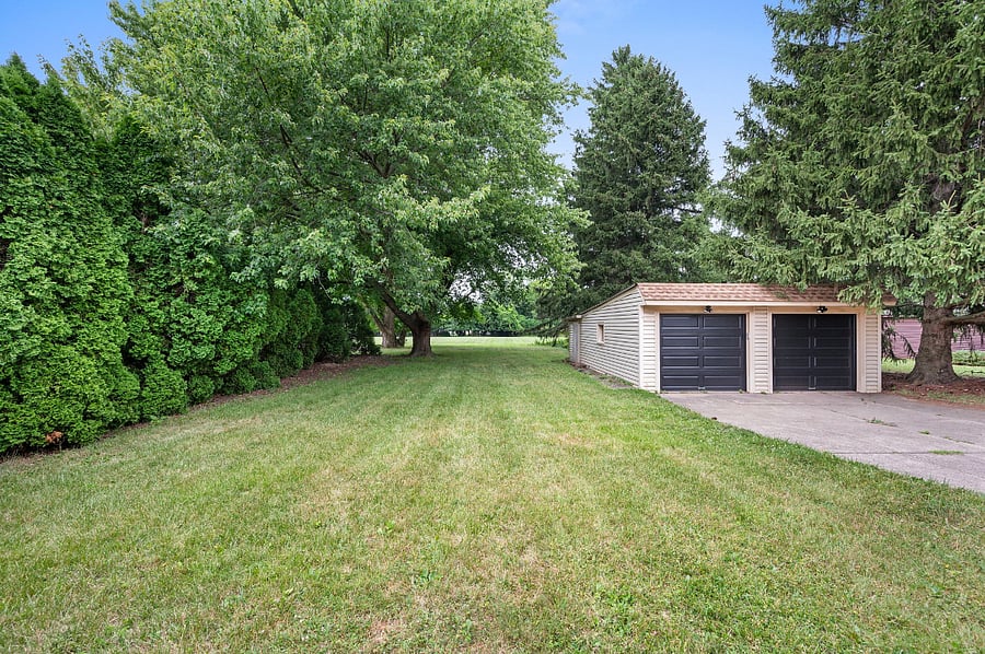 MASSIVE GRASSY MEADOW IN BACK YARD