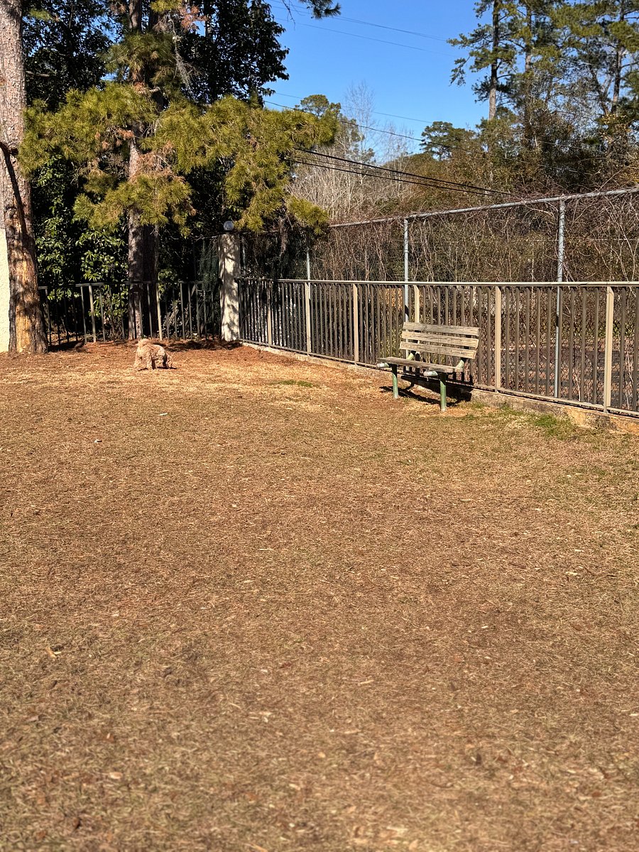 Furnished Finder property 827707_1 photo 13