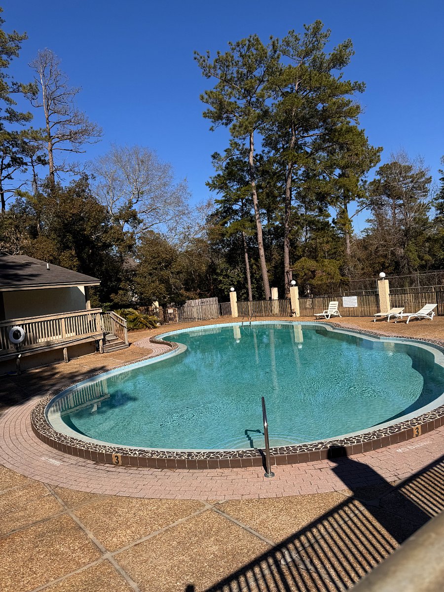 Furnished Finder property 827707_1 photo 14