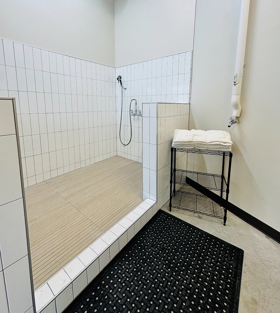 Pet wash with dryer