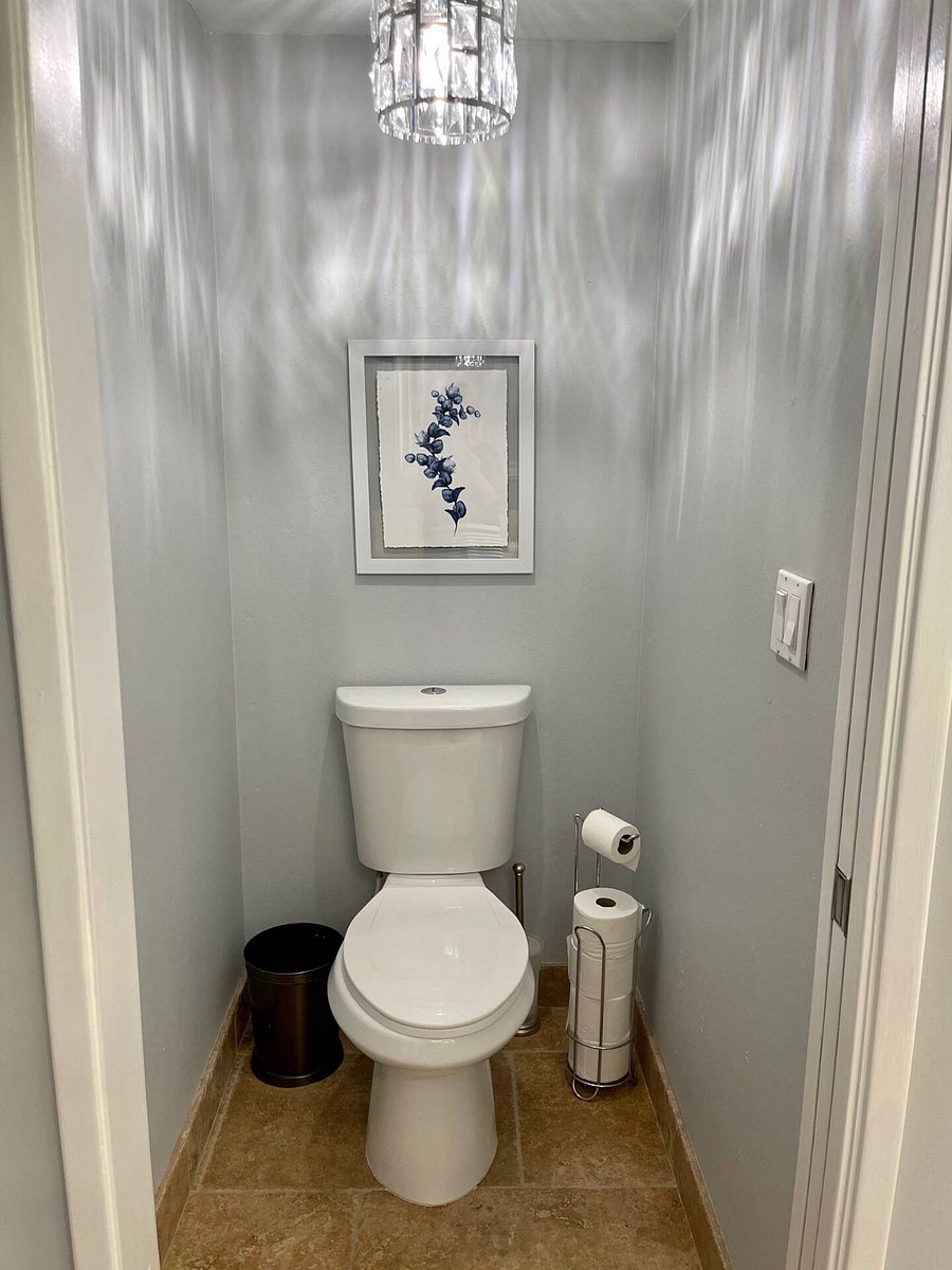 Master Bath Toilet with private door