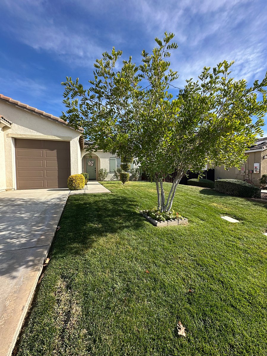 Furnished Finder property 828029_1 photo 24