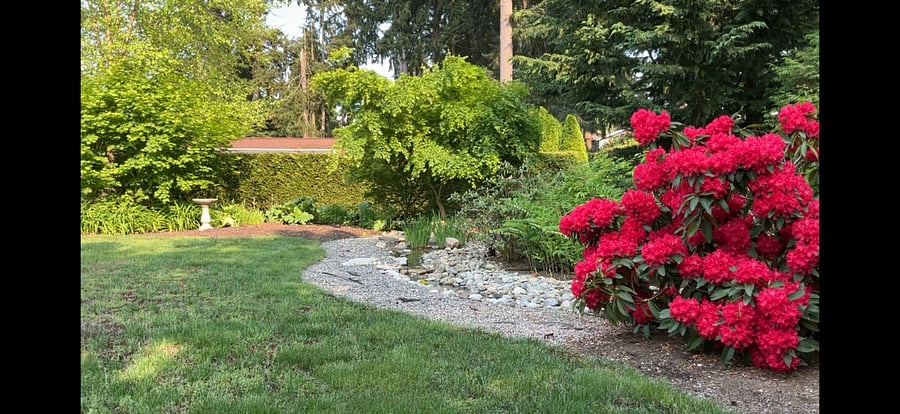 Relax by the flowing river in the backyard