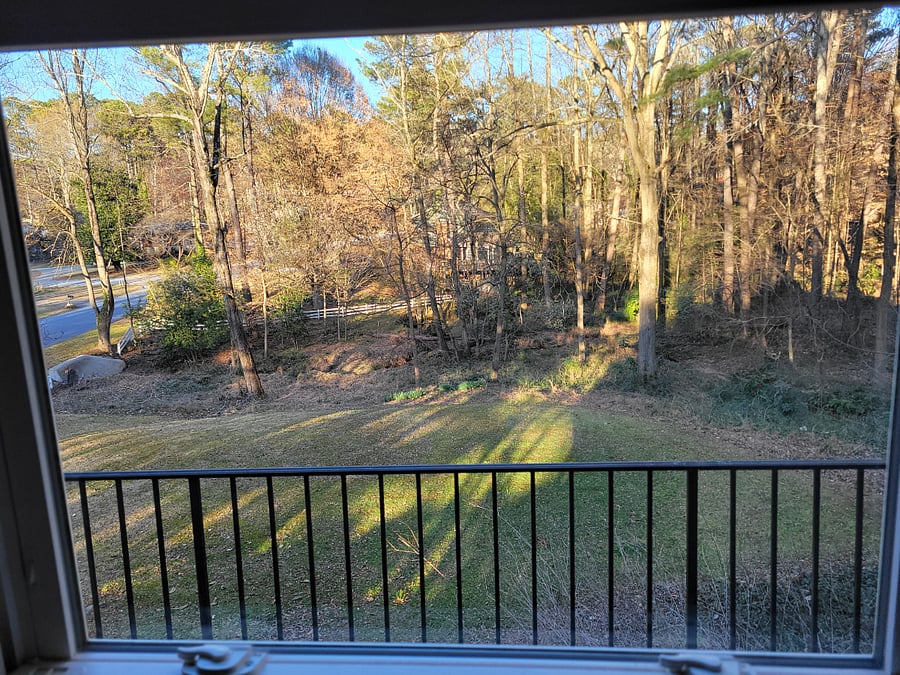 Lower lawn with natural wooded area and creek.