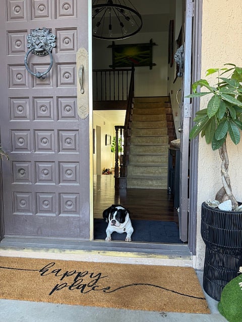 Furnished Finder property 828251_1 photo 9