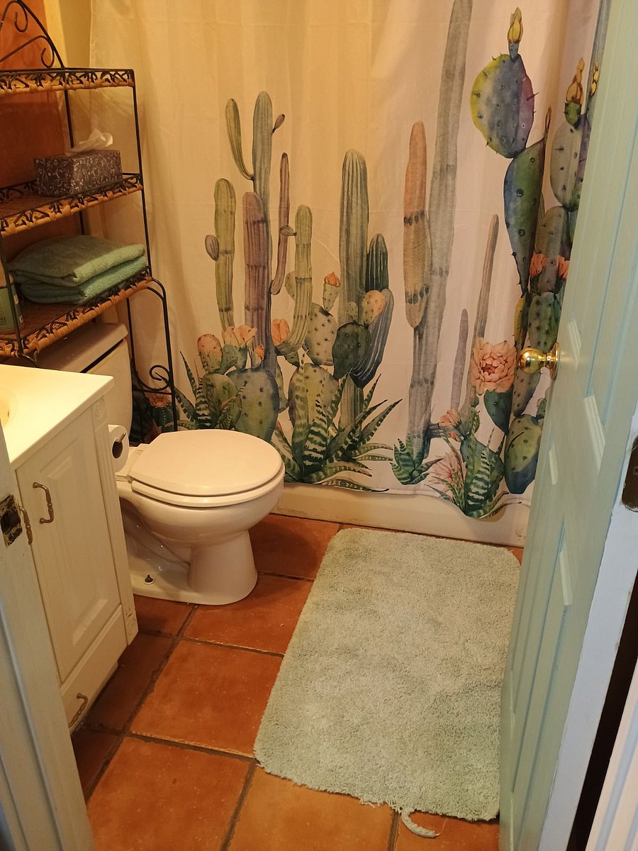 Bathroom with full shower and tub.